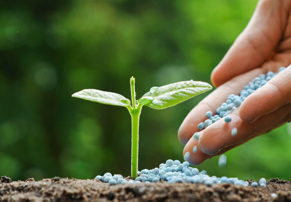 Fertilizer sourcing